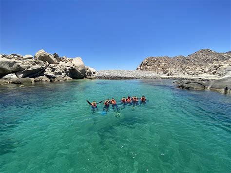 cabo pulmo tours